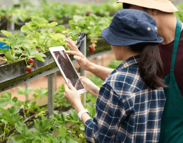 agriculture Iot